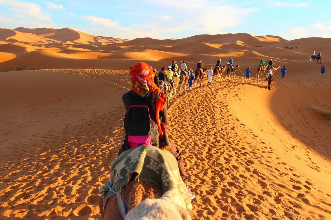 caravan, camels, adventure