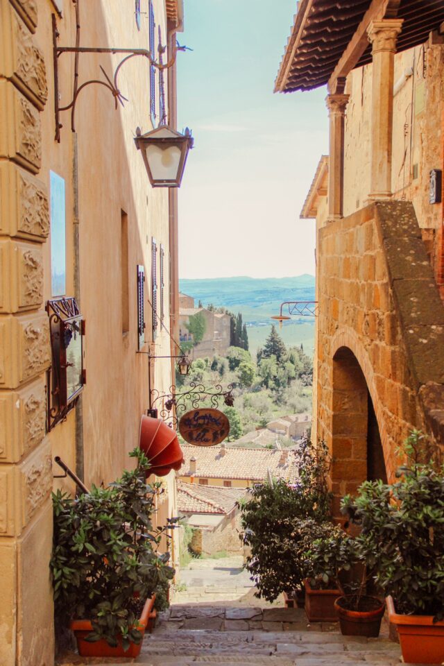 a narrow alley way with potted plants on either side